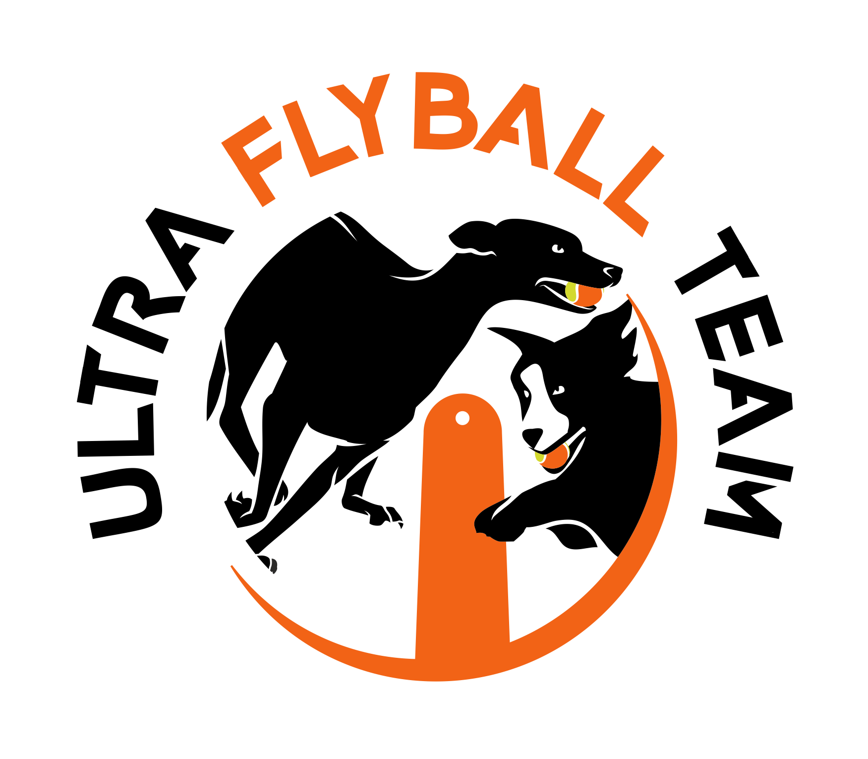 Ultra Flyball Team